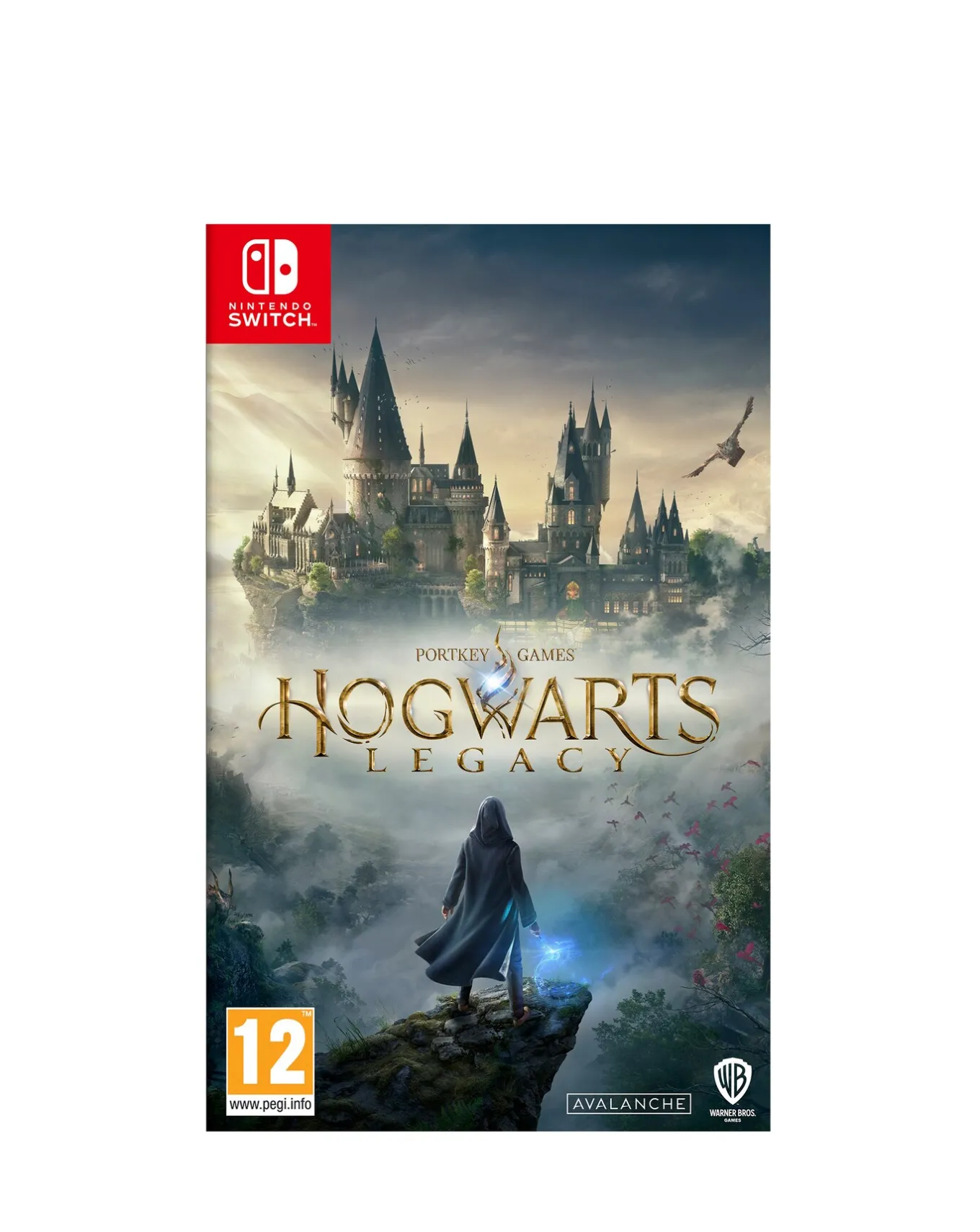 Nintendo Hogwarts Legacy: Standard Edition ( Switch)- Games & Consoles