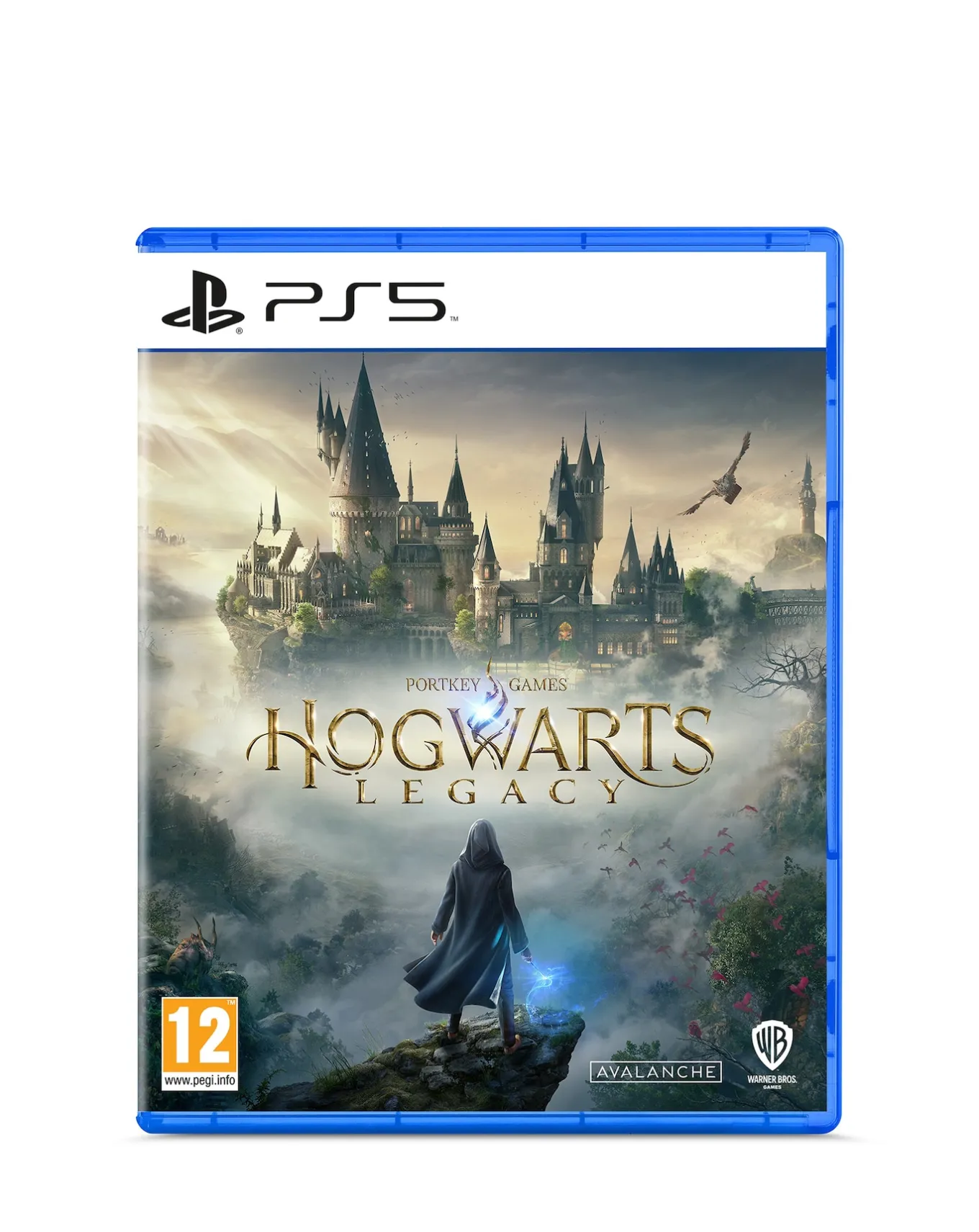 Playstation Hogwarts Legacy: Standard Edition (PS5)- Games & Consoles